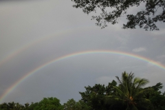 double-rainbow