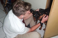 er-puppies